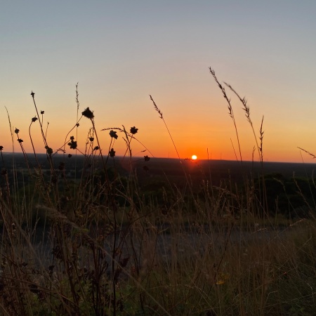 Größeres Bild ansehen